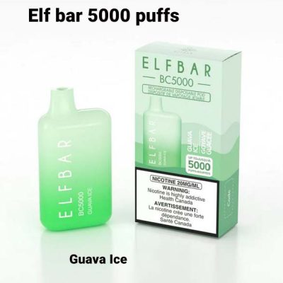 Elf Bar Guava Ice BC5000 Puffs Disposable pods Vape